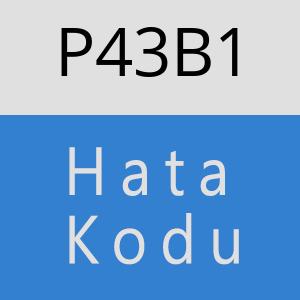 P43B1 hatasi