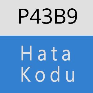 P43B9 hatasi