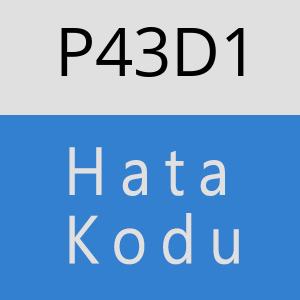 P43D1 hatasi