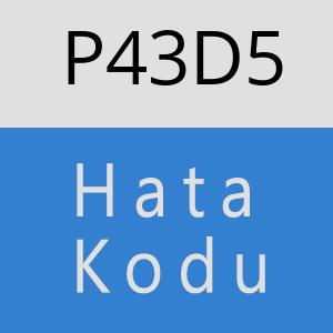 P43D5 hatasi