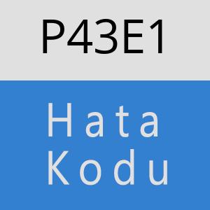 P43E1 hatasi