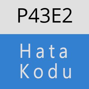 P43E2 hatasi