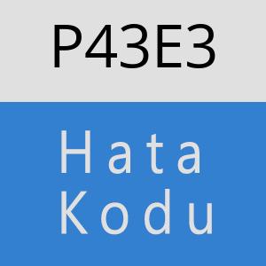 P43E3 hatasi