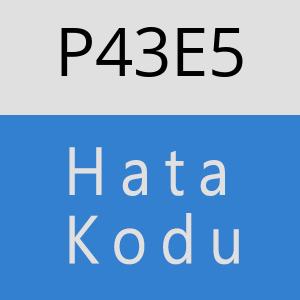 P43E5 hatasi