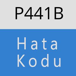 P441B hatasi