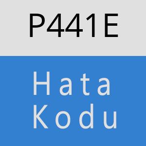 P441E hatasi