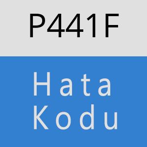 P441F hatasi