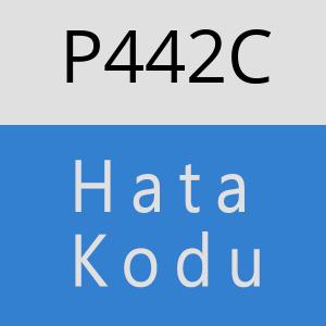 P442C hatasi