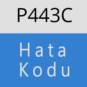 P443C hatasi