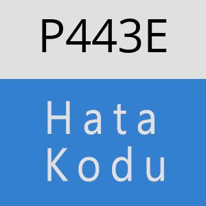 P443E hatasi