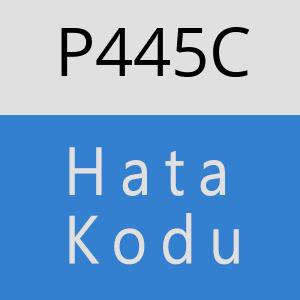 P445C hatasi