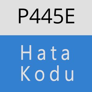 P445E hatasi