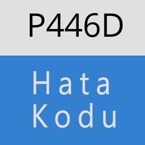 P446D hatasi