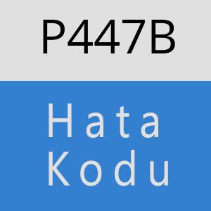 P447B hatasi