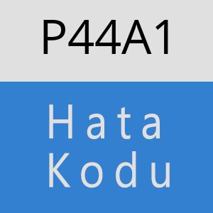 P44A1 hatasi