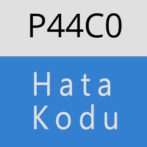 P44C0 hatasi