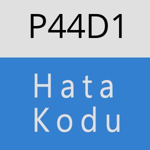 P44D1 hatasi