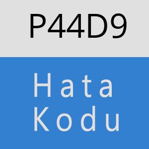 P44D9 hatasi