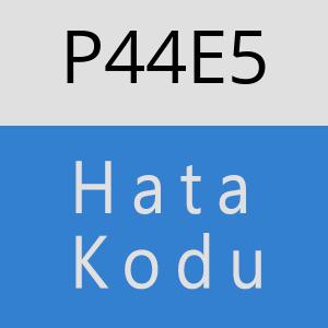 P44E5 hatasi