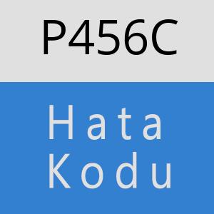 P456C hatasi