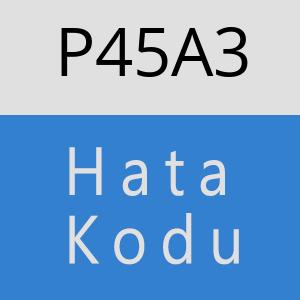 P45A3 hatasi