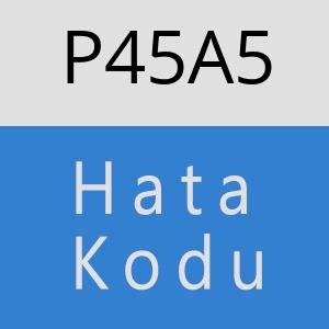 P45A5 hatasi