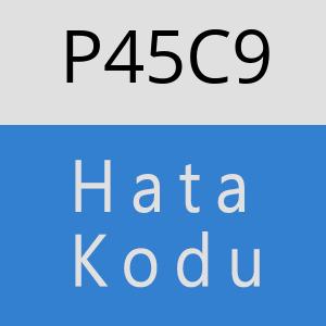 P45C9 hatasi