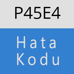 P45E4 hatasi