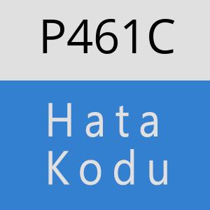 P461C hatasi