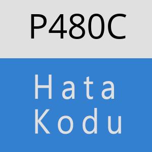 P480C hatasi