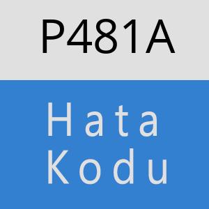 P481A hatasi