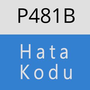 P481B hatasi