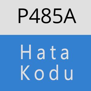 P485A hatasi