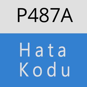 P487A hatasi