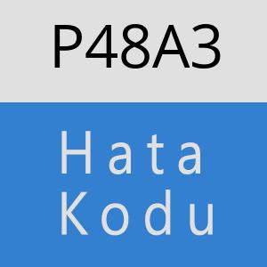 P48A3 hatasi