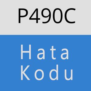 P490C hatasi