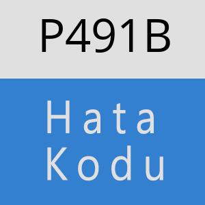 P491B hatasi