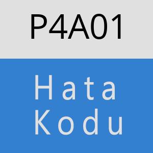 P4A01 hatasi