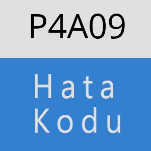 P4A09 hatasi