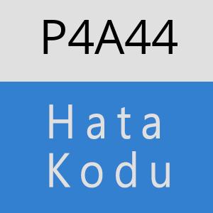 P4A44 hatasi