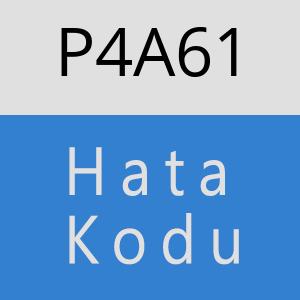 P4A61 hatasi