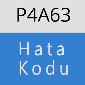 P4A63 hatasi