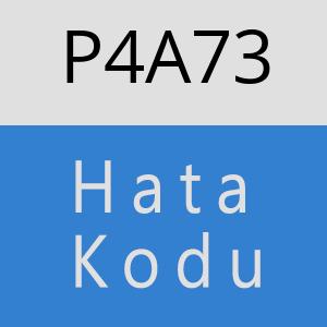 P4A73 hatasi