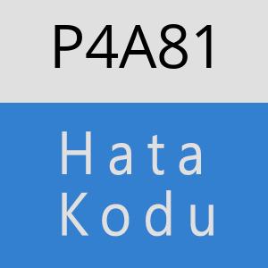 P4A81 hatasi