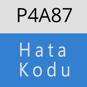 P4A87 hatasi