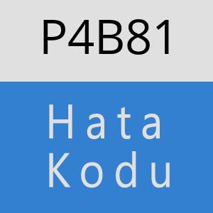 P4B81 hatasi