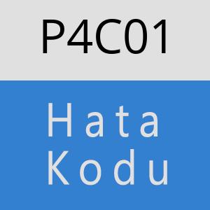 P4C01 hatasi