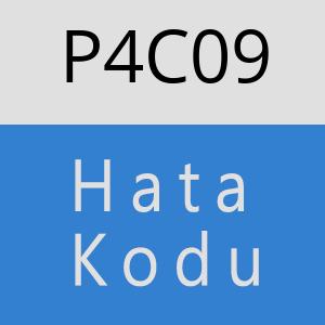 P4C09 hatasi