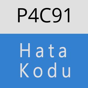 P4C91 hatasi