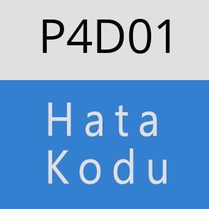 P4D01 hatasi